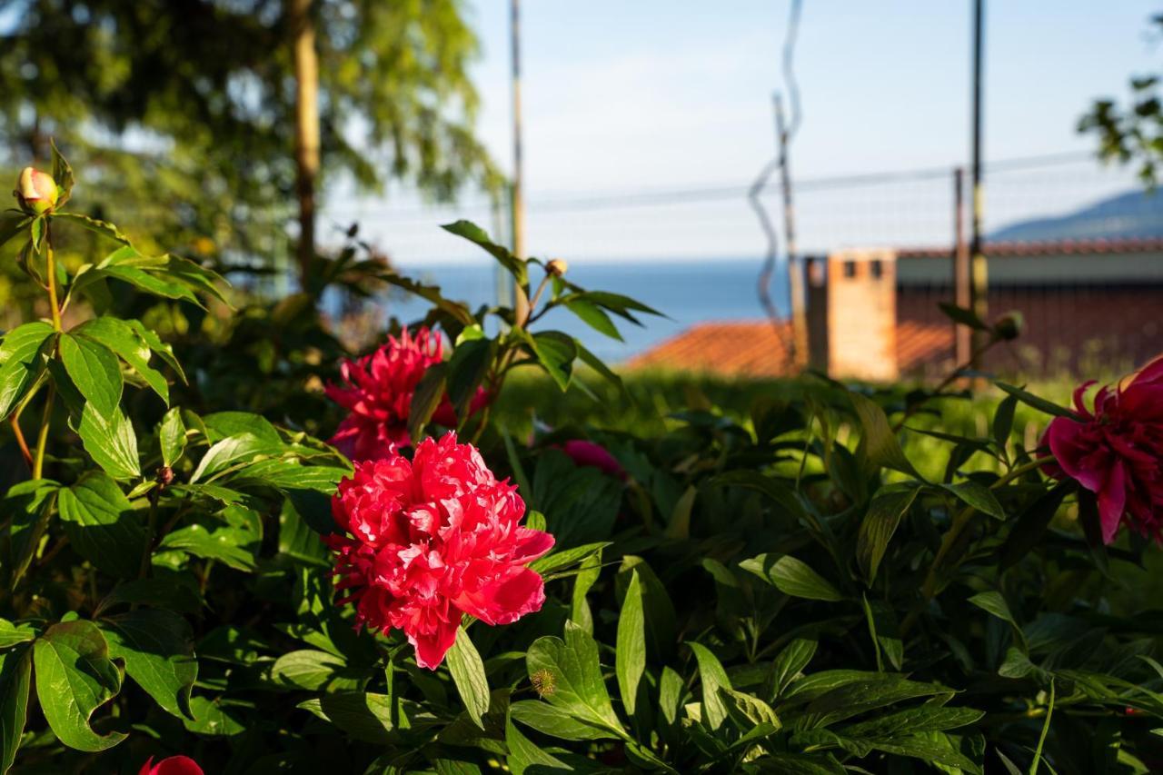 Apartment Stella Marina Rabac Luaran gambar