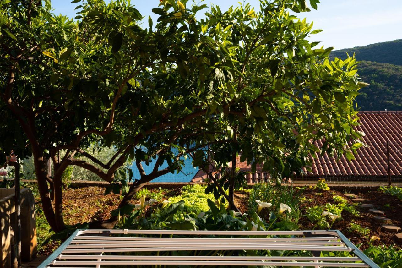 Apartment Stella Marina Rabac Luaran gambar